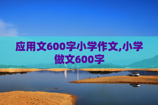 应用文600字小学作文,小学做文600字