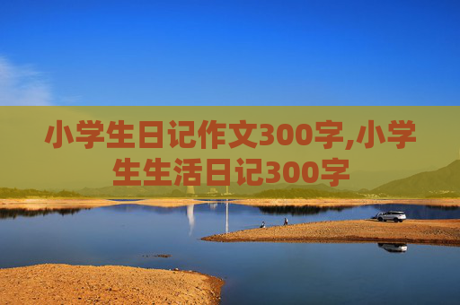 小学生日记作文300字,小学生生活日记300字