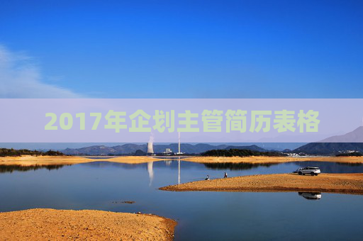 2017年企划主管简历表格