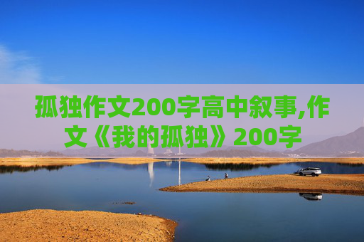 孤独作文200字高中叙事,作文《我的孤独》200字