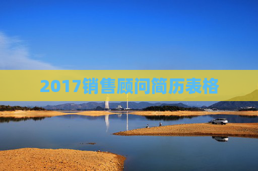 2017销售顾问简历表格