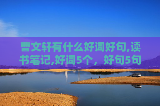 曹文轩有什么好词好句,读书笔记,好词5个，好句5句，感受100字，题目