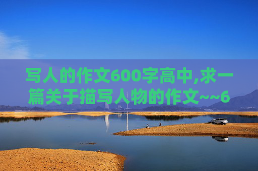 写人的作文600字高中,求一篇关于描写人物的作文~~600字左右..