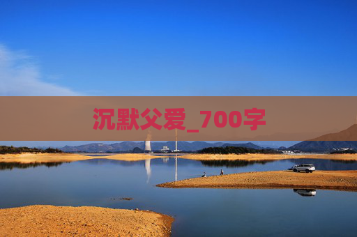 沉默父爱_700字