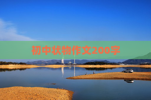 初中状物作文200字