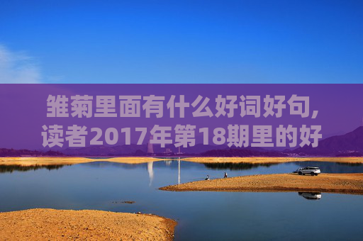 雏菊里面有什么好词好句,读者2017年第18期里的好词好句