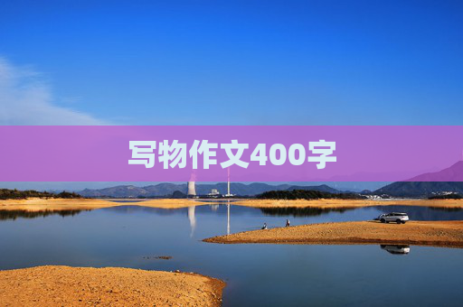 写物作文400字