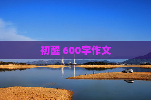 初醒 600字作文