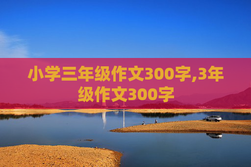 小学三年级作文300字,3年级作文300字