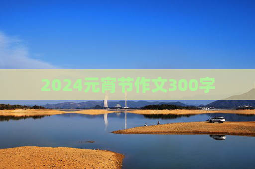 2024元宵节作文300字