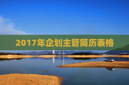 2017年企划主管简历表格