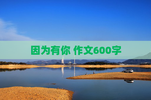 因为有你 作文600字