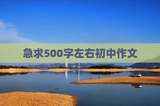 急求500字左右初中作文