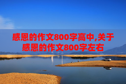 感恩的作文800字高中,关于感恩的作文800字左右