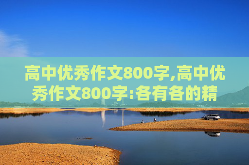 高中优秀作文800字,高中优秀作文800字:各有各的精彩