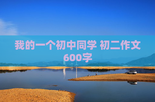 我的一个初中同学 初二作文600字