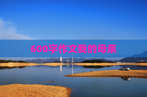 600字作文我的母亲