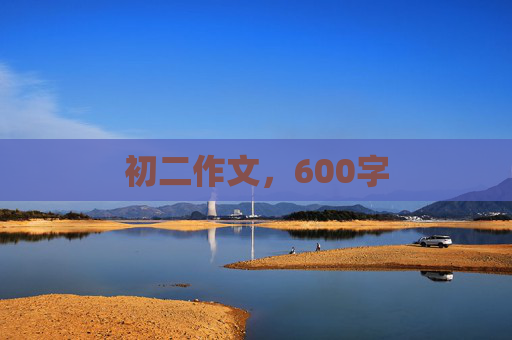 初二作文，600字