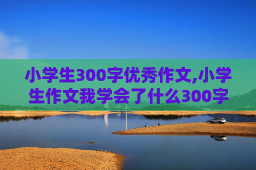 小学生300字优秀作文,小学生作文我学会了什么300字