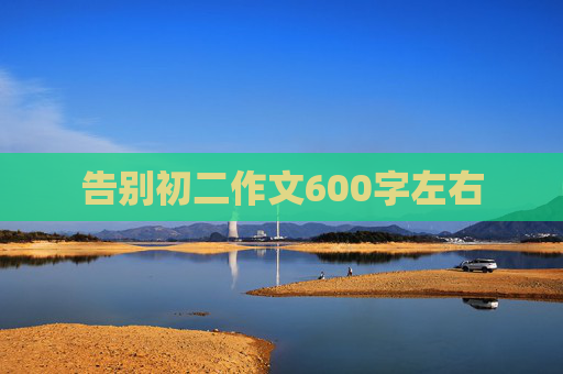 告别初二作文600字左右