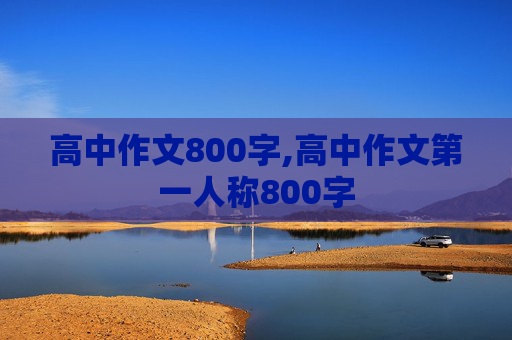 高中作文800字,高中作文第一人称800字