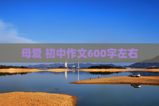 母爱 初中作文600字左右