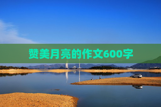 赞美月亮的作文600字