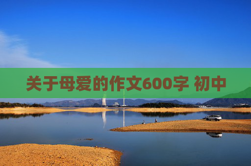 关于母爱的作文600字 初中