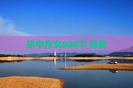 初中作文600字 母爱