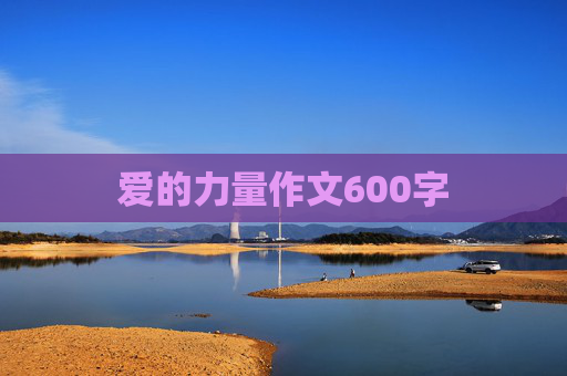 爱的力量作文600字