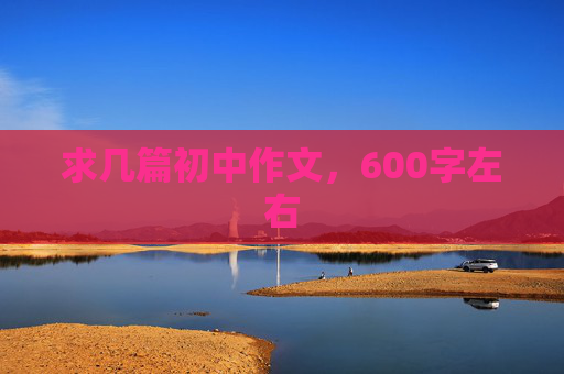 求几篇初中作文，600字左右