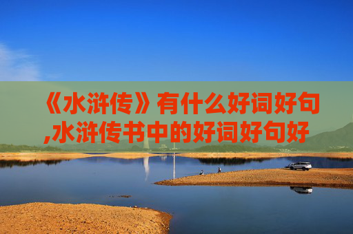 《水浒传》有什么好词好句,水浒传书中的好词好句好段.........越多越好////////急啊!