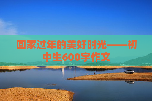 回家过年的美好时光——初中生600字作文