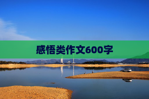 感悟类作文600字