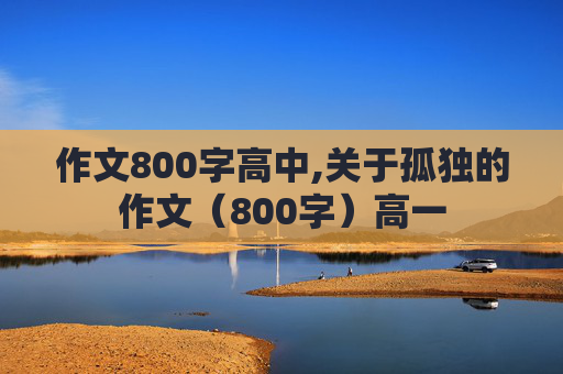 作文800字高中,关于孤独的作文（800字）高一