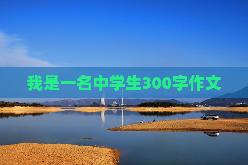 我是一名中学生300字作文