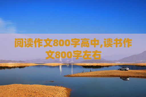 阅读作文800字高中,读书作文800字左右