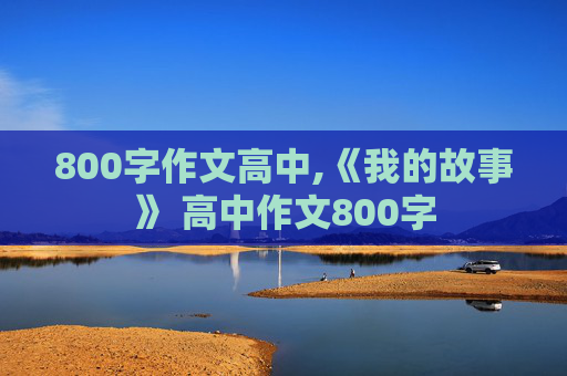 800字作文高中,《我的故事》 高中作文800字