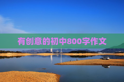 有创意的初中800字作文