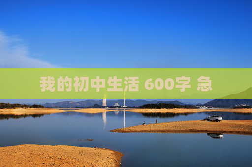 我的初中生活 600字 急