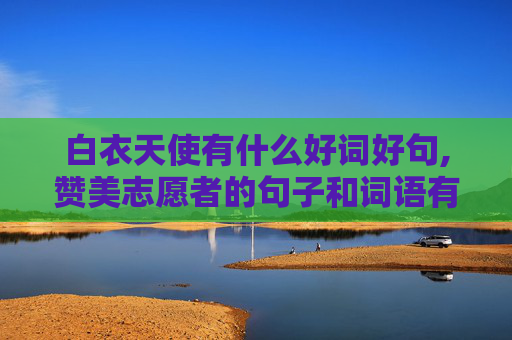 白衣天使有什么好词好句,赞美志愿者的句子和词语有哪些？