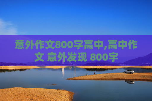 意外作文800字高中,高中作文 意外发现 800字