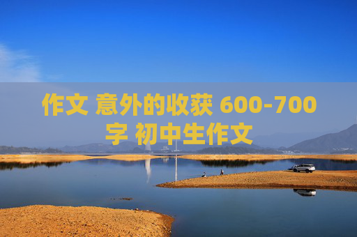 作文 意外的收获 600-700字 初中生作文