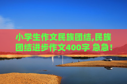 小学生作文民族团结,民族团结进步作文400字 急急！！！！