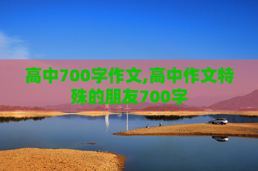 高中700字作文,高中作文特殊的朋友700字