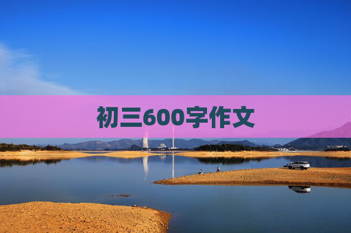 初三600字作文