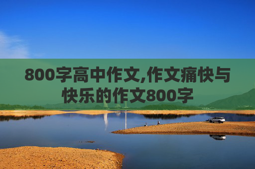 800字高中作文,作文痛快与快乐的作文800字