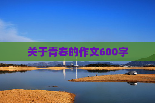 关于青春的作文600字