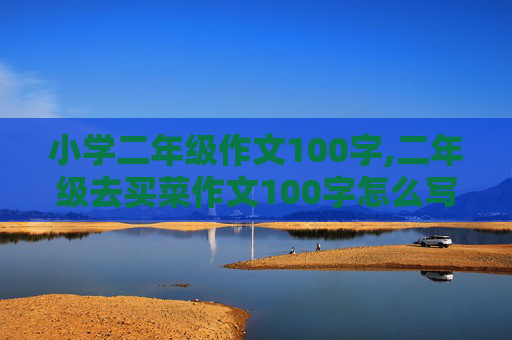 小学二年级作文100字,二年级去买菜作文100字怎么写