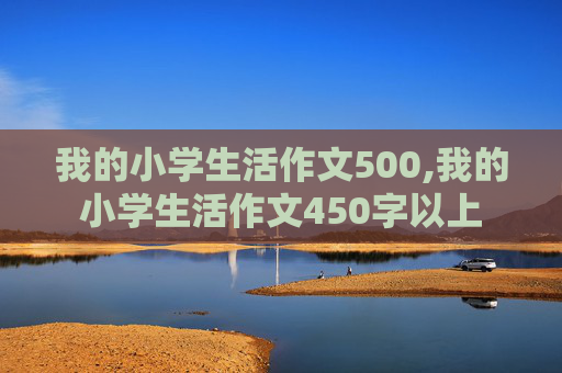 我的小学生活作文500,我的小学生活作文450字以上